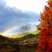 valle del giovenco arcobaleno o