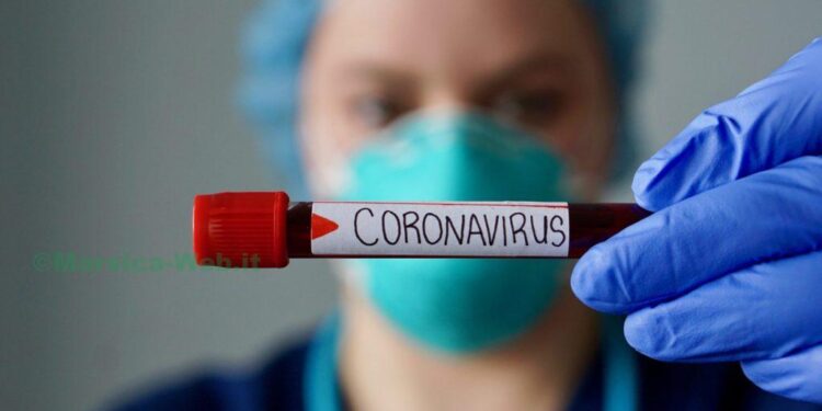 coronavirus 15 1024x683 1