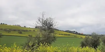 Sviluppo e aree interne, all’Aquila si parla di strategie per i territori – Notizie