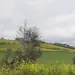 Sviluppo e aree interne, all'Aquila si parla di strategie per i territori - Notizie 4 Sviluppo e aree interne, all’Aquila si parla di strategie per i territori – Notizie