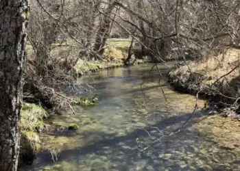 Nasce il Comitato Fiume Giovenco: un impegno condiviso per tutelare il territorio 2 Nasce il Comitato Fiume Giovenco: un impegno condiviso per tutelare il territorio