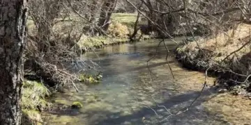 Nasce il Comitato Fiume Giovenco: un impegno condiviso per tutelare il territorio