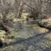 Nasce il Comitato Fiume Giovenco: un impegno condiviso per tutelare il territorio 4 Nasce il Comitato Fiume Giovenco: un impegno condiviso per tutelare il territorio