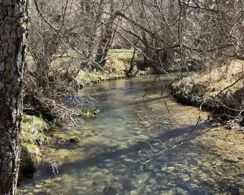 Nasce il Comitato Fiume Giovenco: un impegno condiviso per tutelare il territorio 1 fiume giovenco