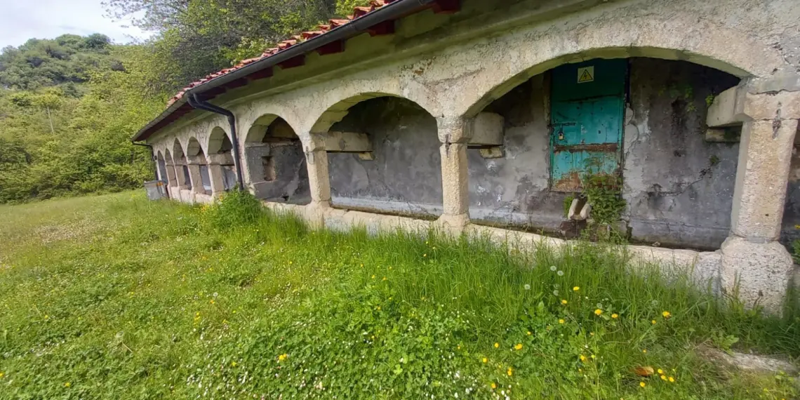 foto fontanile