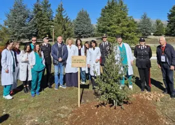 AVEZZANO, UN ALBERO IN OSPEDALE PER CONIUGARE SALUTE, PREVENZIONE ED ECOSISTEMA